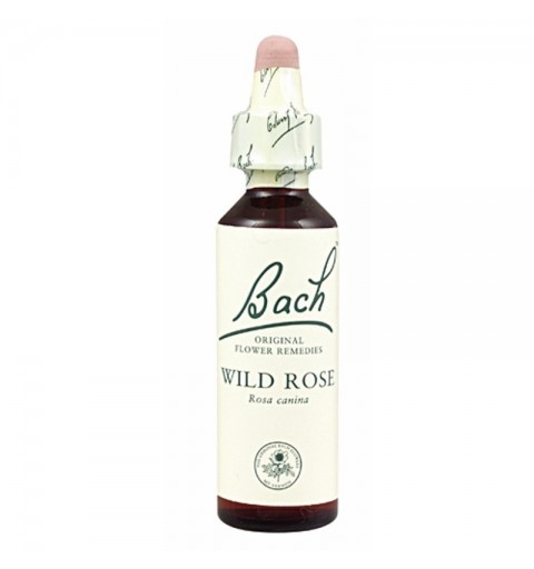 FLOR BACH wild rose 20 ml Nº37